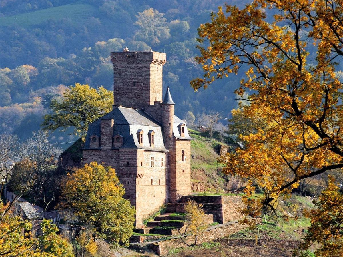 Chateau La Servayrie - Chambre D'Hotes Marcillac-Vallon Exteriör bild
